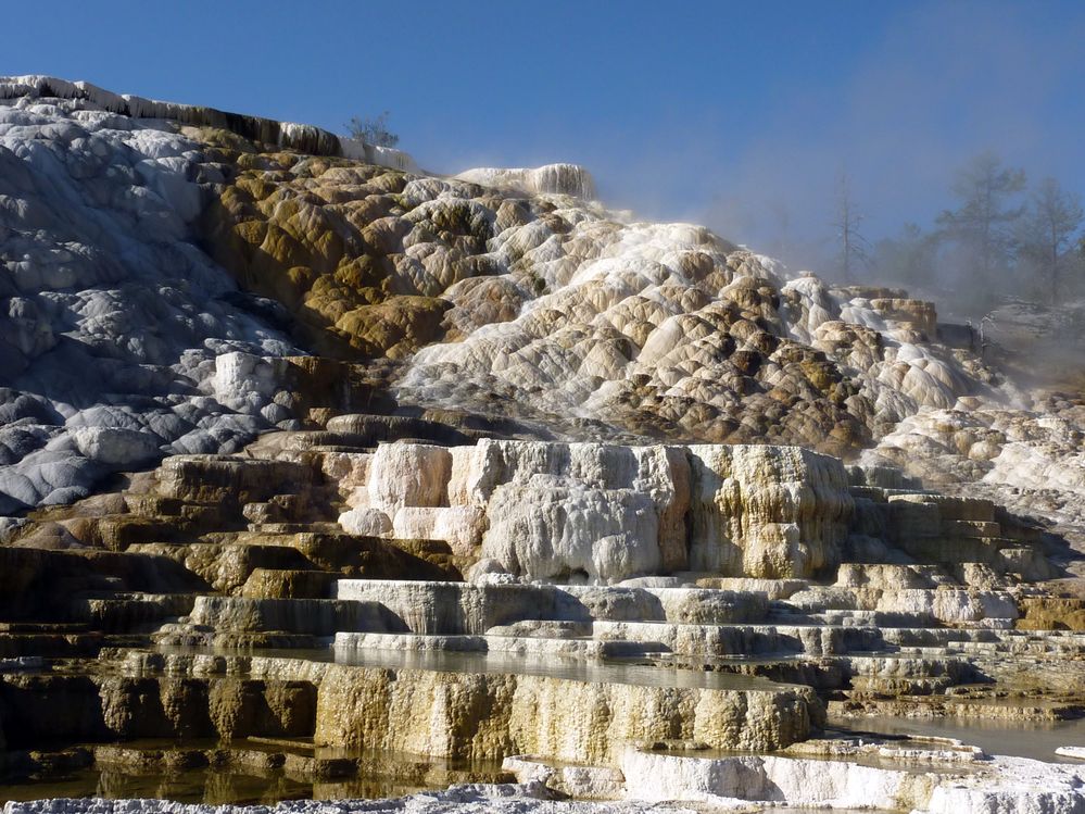Yellowstone Mammoth Hotsprings (26).JPG